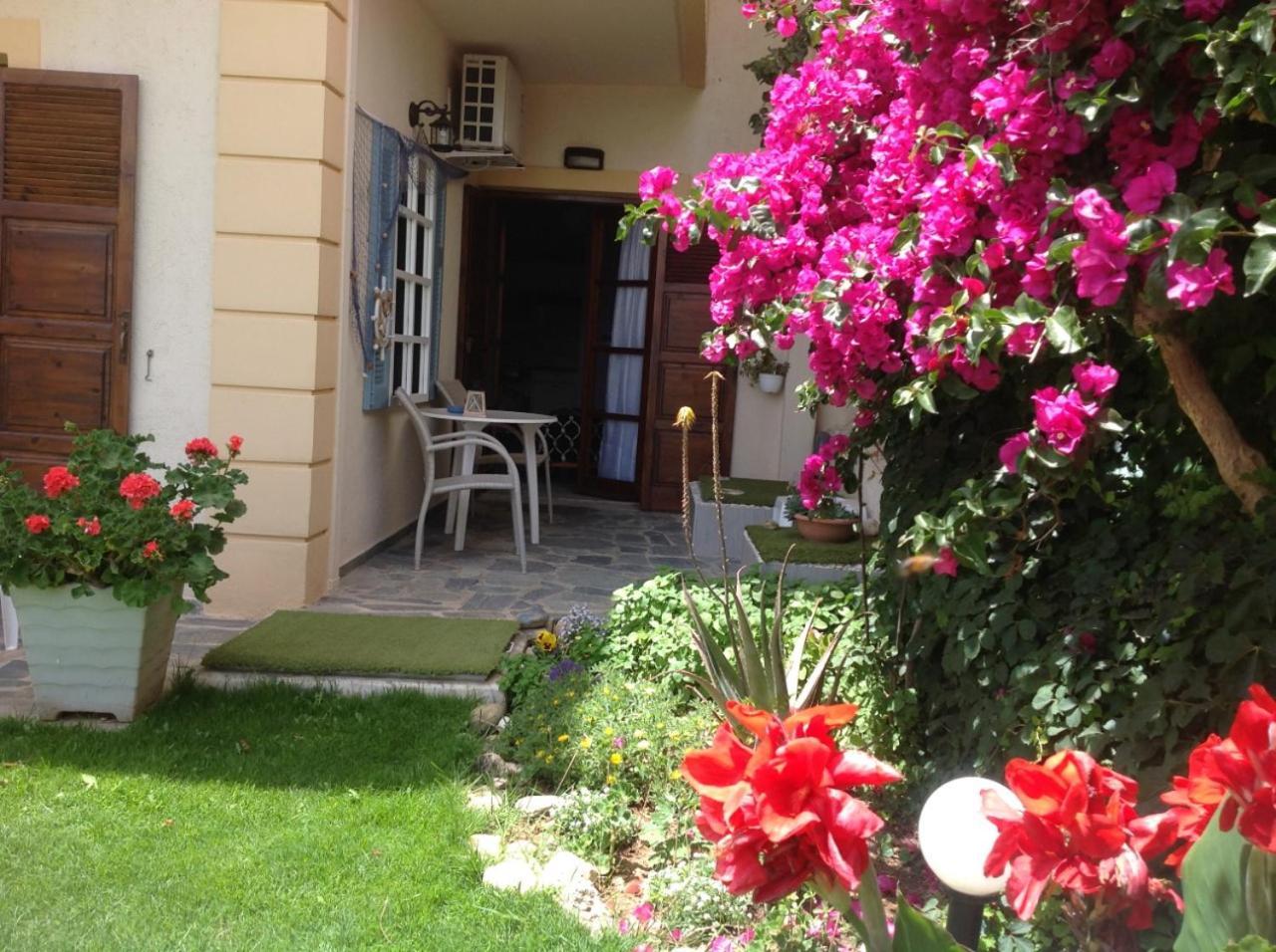 Asterias Studios & Apartments Kalívesz Kültér fotó